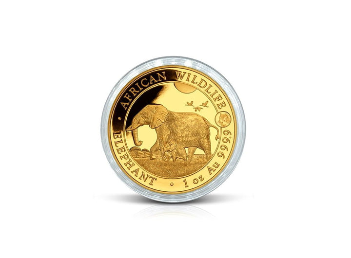 1 oz Gold Somalia Republic - Elephant 2022 Coin 999.9