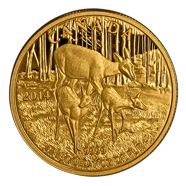 1 oz Pure Gold Coin White Tailed Deer Quietly Exploring