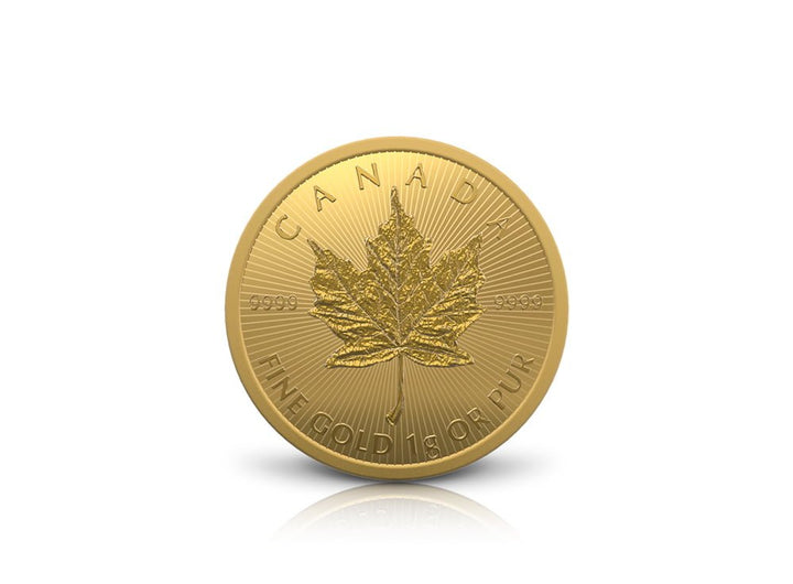 25 g 2022 Gold Maple Leaf Coin (25 x 1 g) 99.99%