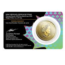 1 oz Gold Canadian Voyageur Coin 99.99%